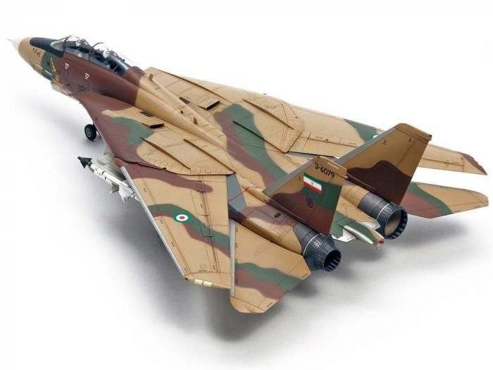 タミヤ】61114)1/48 グラマン F-14A トムキャット - 福岡の