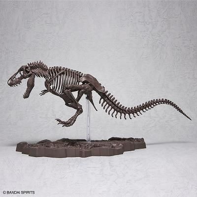 世界に一つ、不世出 スピノサウルス 1/10 木彫 頭骨模型 19㎝