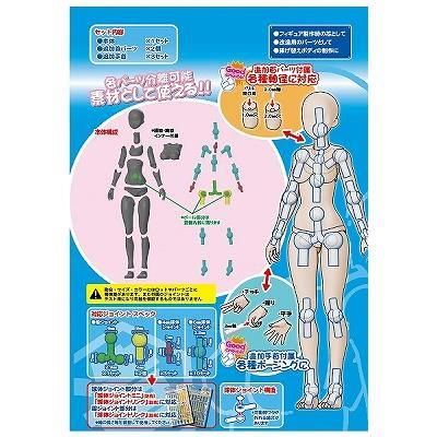 PPC-T45 1/12素材ちゃん ライトフレッシュ【PPC-T45:4534966003721】