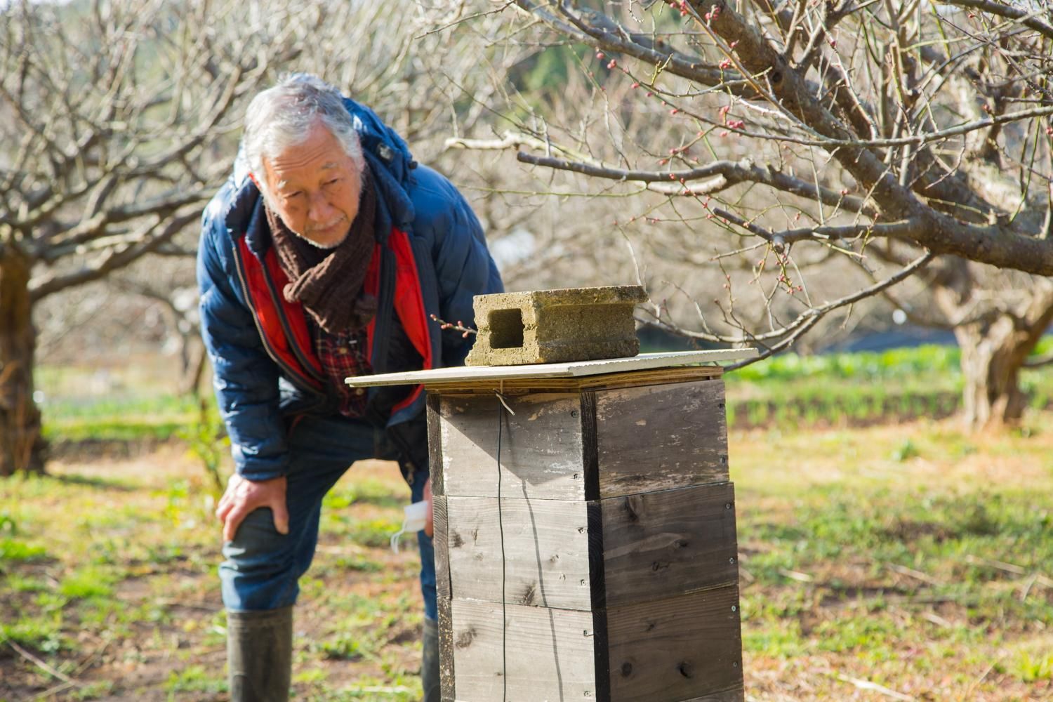 日本蜜蜂のはちみつ 300g入 - 平山旅館のお取り寄せ 壱岐もの屋