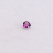 ɥ饤ȥͥåȡRhodolite Garnet<img class='new_mark_img2' src='https://img.shop-pro.jp/img/new/icons30.gif' style='border:none;display:inline;margin:0px;padding:0px;width:auto;' />