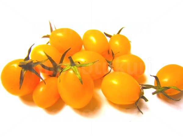 99円から390円素材sozai 夏野菜 トマト 黄色 の写真