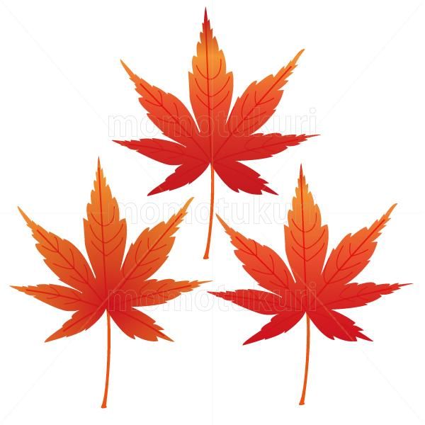 99円から390円素材sozai 紅葉 もみじ 葉っぱ 3枚セット