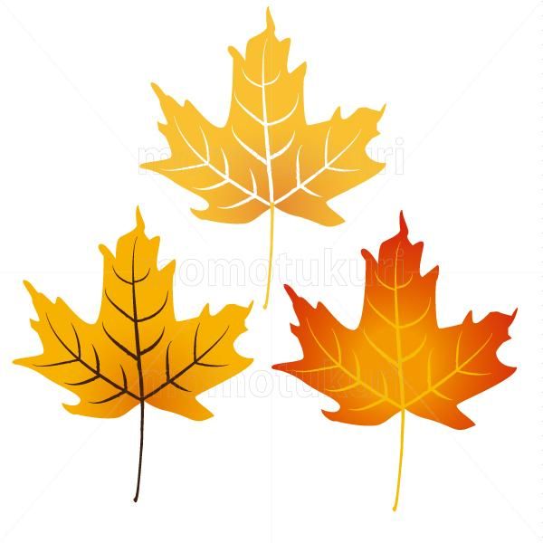 99円から390円素材sozai 紅葉 カエデ 葉っぱ 3枚セット 99円から390円素材sozai 紅葉 カエデ 葉っぱ 3枚セット