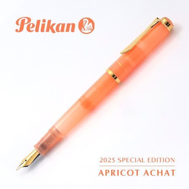 ペリカン 万年筆 2022年 特別生産品 クラシック M200