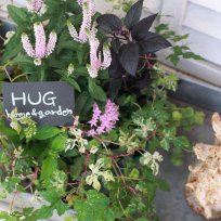 HUG＊ オリジナル　garden寄せ植えset 『pink color』　