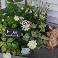 HUG＊ オリジナル　garden寄せ植えset 『white color』　