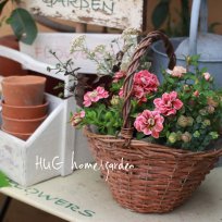 HUGgarden󤻿ġpink  set٤դ