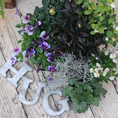 Hug Home Garden オリジナルgarden寄せ植えセット Hug Home Garden オリジナルgarden寄せ植えセット