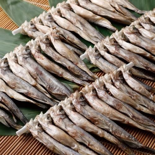 一夜干し本ししゃも オス メス込 40尾入 送料無料 沖縄県除く 消費税込 しらぬか味覚直行便