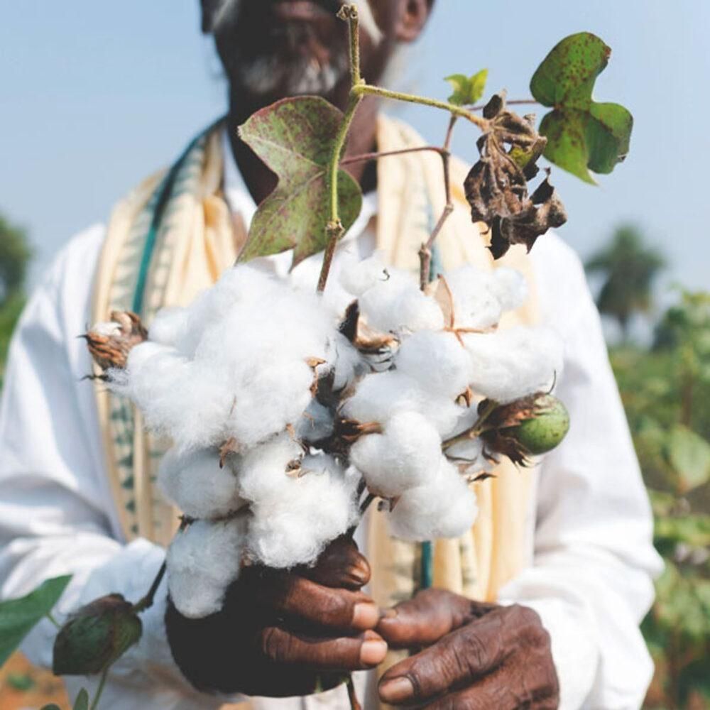 ¥¿¡¼¥È¥ë¥Í¥Ã¥¯¥È¥Ã¥× ¥Õ¥§¥¢¥È¥ì¡¼¥É ¥·¥µ¥à¹©Ë¼ ¥ª¡¼¥¬¥Ë¥Ã¥¯¥³¥Ã¥È¥ó