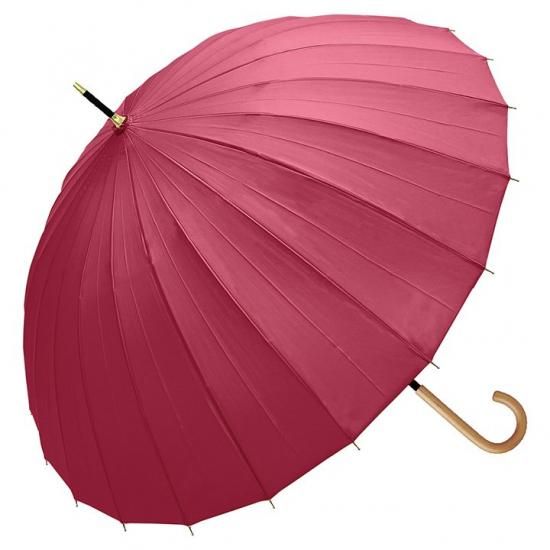 Ĺ 곫 24̵ܹ58cm