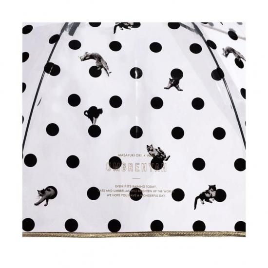 WpcĹ ӥˡ뻱 ׼ Ƿpc.ץ饹ƥå֥ˤ󡡥ɥå