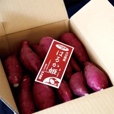 2024年秋収穫！はるか姫（3.5kg箱） - 農事組合法人 芦刈農産
