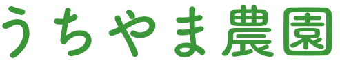 ѥ饬Τ
