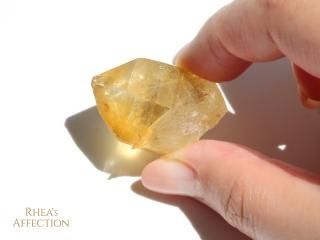 Q486ۿ徽 /  Фμ곰ǽϥҥޥ仺θп徽Υڥ14g