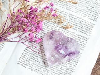 AT258ۥ᥸ / ε̥ϤΥեȥΥϡȷ᥸109g