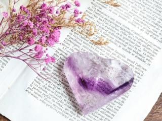 AT259ۥ᥸ / եȥ̥ϤΥϡȷ᥸137g