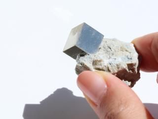 PL11ۥѥ饤 / ڥ롼դβİΥѥ饤30g