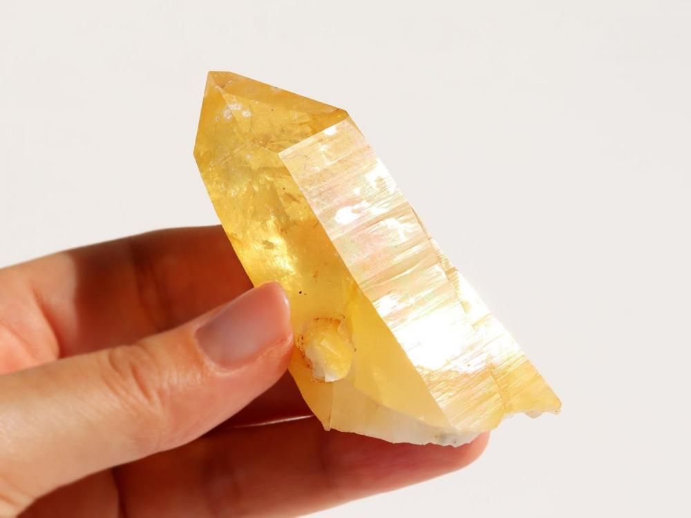 ゴールデンヒーラー