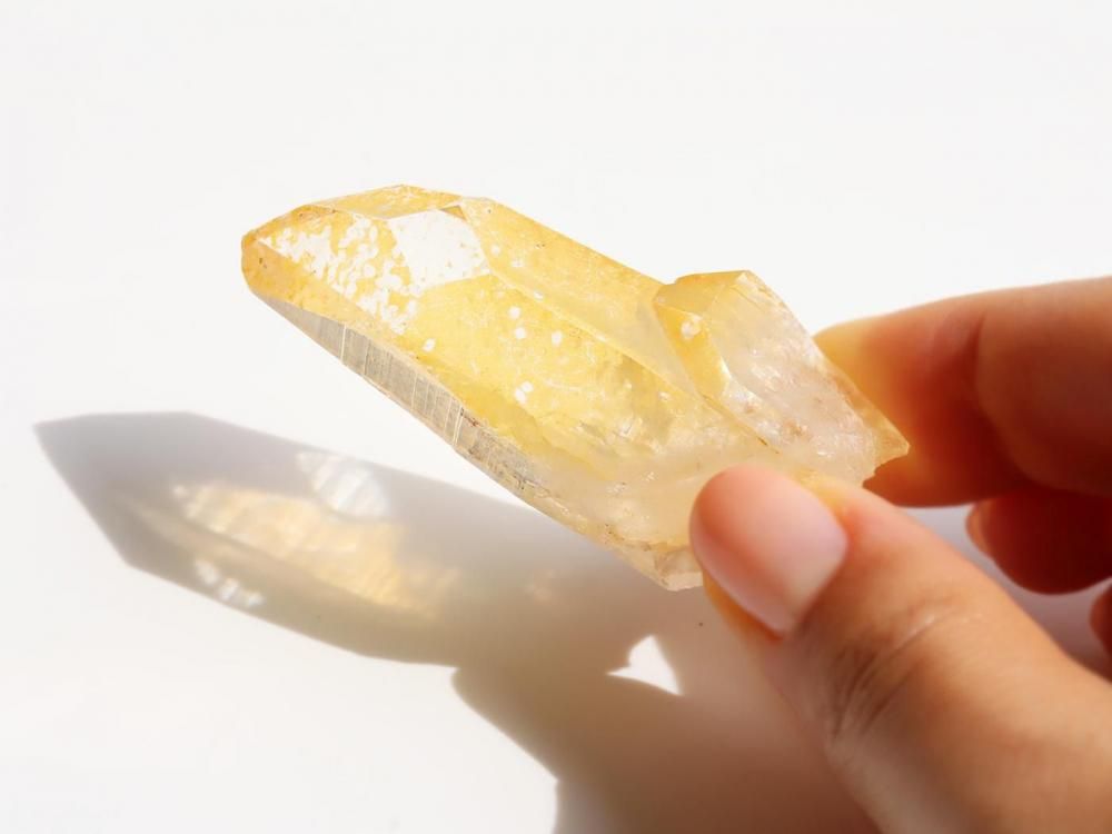 ゴールデンヒーラー