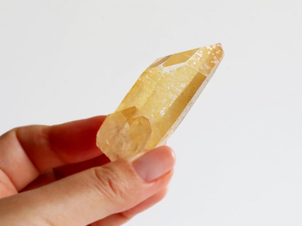 ゴールデンヒーラー