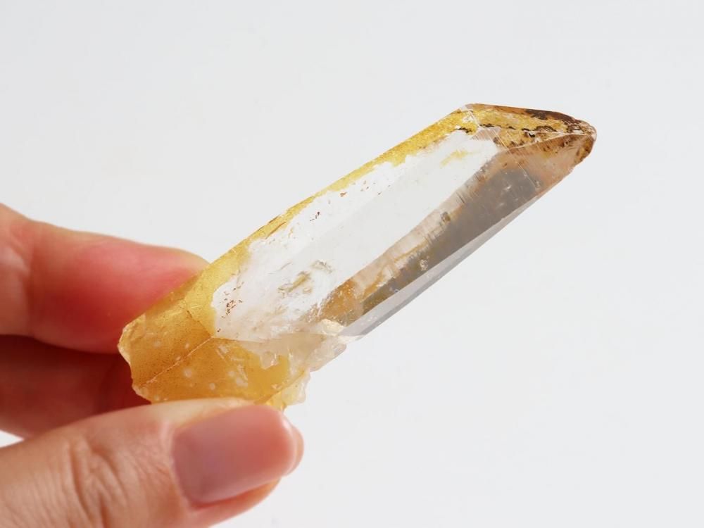 ゴールデンヒーラー