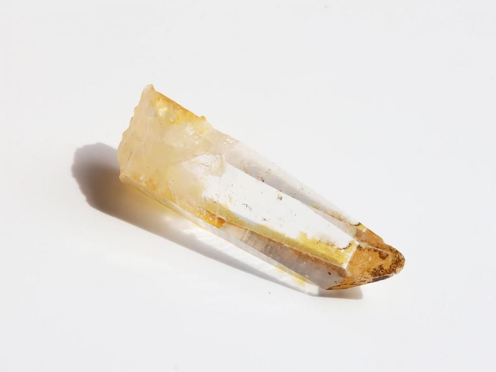 コロンビア産 ゴールデンヒーラーポイント02 GH11】ゴールデンヒーラー