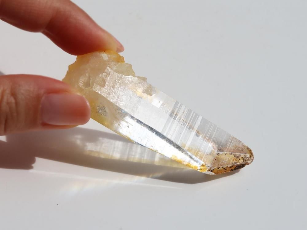 ゴールデンヒーラー