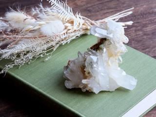 <img class='new_mark_img1' src='https://img.shop-pro.jp/img/new/icons6.gif' style='border:none;display:inline;margin:0px;padding:0px;width:auto;' />��Q642�ۿ徽 /  ����Ū���������Υҥޥ�䡦��ѻ��θ��п徽 368g