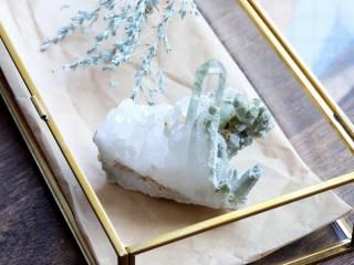 <img class='new_mark_img1' src='https://img.shop-pro.jp/img/new/icons6.gif' style='border:none;display:inline;margin:0px;padding:0px;width:auto;' />��Q640�ۿ徽 /  ����Ū�ʥ饤�ȥ��꡼�󿧤����������ҥޥ�䡦��ѻ��θ��п徽 113g