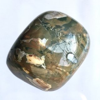 天然石　タンブル　レインフォレストジャスパー