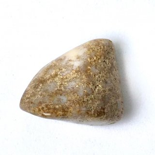 天然石　タンブル　　珊瑚（コーラル）