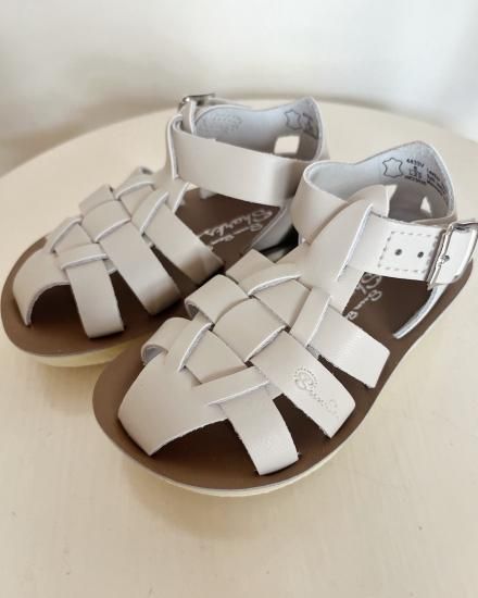 salt water sandals（ソルトウォーター）Shark / Stone