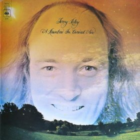 <img class='new_mark_img1' src='https://img.shop-pro.jp/img/new/icons50.gif' style='border:none;display:inline;margin:0px;padding:0px;width:auto;' />Terry Riley / A Rainbow In Curved Air