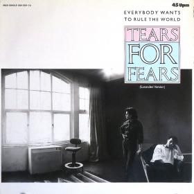 <img class='new_mark_img1' src='https://img.shop-pro.jp/img/new/icons50.gif' style='border:none;display:inline;margin:0px;padding:0px;width:auto;' />Tears For Fears / Everybody Wants To Rule The World (12