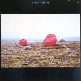 Steve Tibbetts / Exploded View