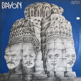 <img class='new_mark_img1' src='https://img.shop-pro.jp/img/new/icons50.gif' style='border:none;display:inline;margin:0px;padding:0px;width:auto;' />Bayon / Bayon