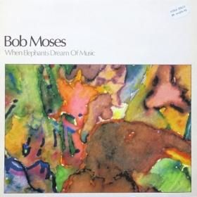 <img class='new_mark_img1' src='https://img.shop-pro.jp/img/new/icons50.gif' style='border:none;display:inline;margin:0px;padding:0px;width:auto;' />Bob Moses / When Elephants Dream Of Music