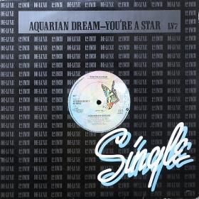 Aquarian Dream / You're A Star (12