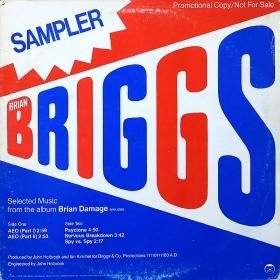 <img class='new_mark_img1' src='https://img.shop-pro.jp/img/new/icons50.gif' style='border:none;display:inline;margin:0px;padding:0px;width:auto;' />Brian Briggs / Special Sampler (Selected Music From The Album Brian Damage)