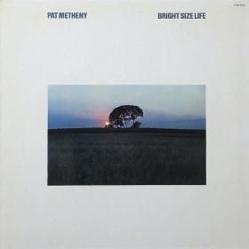 <img class='new_mark_img1' src='https://img.shop-pro.jp/img/new/icons50.gif' style='border:none;display:inline;margin:0px;padding:0px;width:auto;' />Pat Metheny / Bright Size Life