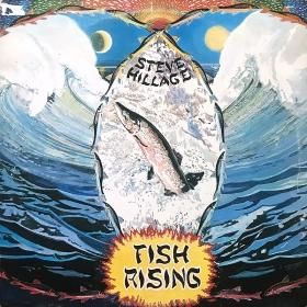 <img class='new_mark_img1' src='https://img.shop-pro.jp/img/new/icons50.gif' style='border:none;display:inline;margin:0px;padding:0px;width:auto;' />Steve Hillage / Fish Rising