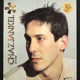 <img class='new_mark_img1' src='https://img.shop-pro.jp/img/new/icons50.gif' style='border:none;display:inline;margin:0px;padding:0px;width:auto;' />Chaz Jankel / Without You (12