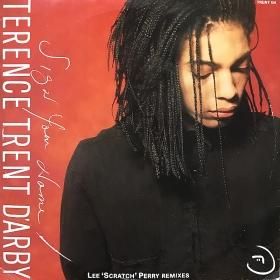 <img class='new_mark_img1' src='https://img.shop-pro.jp/img/new/icons50.gif' style='border:none;display:inline;margin:0px;padding:0px;width:auto;' />Terence Trent D'arby / Sign Your Name -Lee 'Scratch' Perry Remixes (10