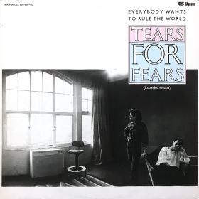 <img class='new_mark_img1' src='https://img.shop-pro.jp/img/new/icons50.gif' style='border:none;display:inline;margin:0px;padding:0px;width:auto;' />Tears For Fears / Everybody Wants To Rule The World (12