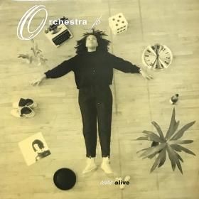 <img class='new_mark_img1' src='https://img.shop-pro.jp/img/new/icons50.gif' style='border:none;display:inline;margin:0px;padding:0px;width:auto;' />Orchestra JB / Come Alive (12
