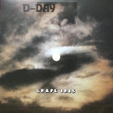 【極美品】D-DAY／GRAPE IRIS　LPレコード　ピクチャーディスク 極美品】D-DAY／GRAPE IRIS LPレコード ピクチャーディスク
