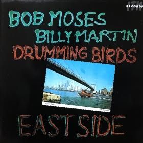 <img class='new_mark_img1' src='https://img.shop-pro.jp/img/new/icons50.gif' style='border:none;display:inline;margin:0px;padding:0px;width:auto;' />Bob Moses, Billy Martin / Drumming Birds