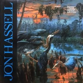 <img class='new_mark_img1' src='https://img.shop-pro.jp/img/new/icons50.gif' style='border:none;display:inline;margin:0px;padding:0px;width:auto;' />Jon Hassell / The Surgeon Of The Nightsky Restores Dead Things By The Power Of Sound